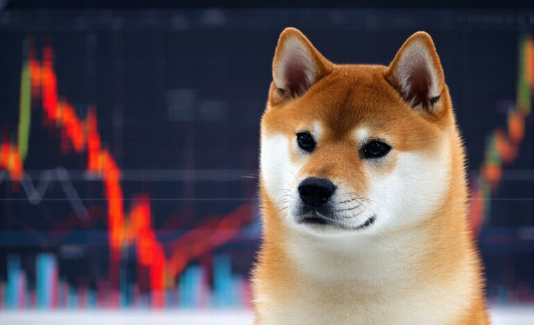 Shiba Inu Price: Live SHIB Value, Chart & Market Analysis